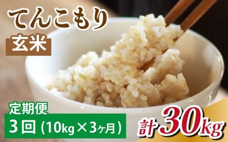 【3ヶ月定期便】富山県滑川産「てんこもり」与文のお米  （玄米10kg）×3回 計30kg 産地直送 袋 10kg 30kg  おにぎり お米 玄米 国産 ご飯 ごはん 富山県 滑川市 アグリめぐみ  F-050001