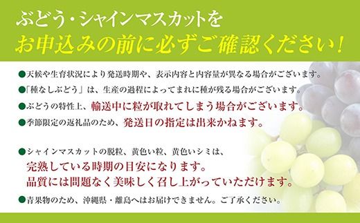 【2026年発送分】【フルーツ王国やまなし】 巨峰  ３～６房（２kg以上）　ぶどう 葡萄 ブドウ 種なし 大粒 山梨県産 フルーツ 果物 くだもの 産地直送 富士川町