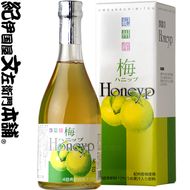 梅ハニップ Honeyp 590g【緑】12本セット 希釈用 梅ドリンク 梅ジュース うめ 紀州産青梅果汁使用 化粧箱入り プラム食品 (F010)_V7264