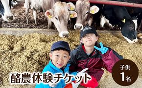 酪農体験チケット 子供1名 【 体験チケット 酪農 北海道 幕別町 牛 搾乳 牧場 自然 】