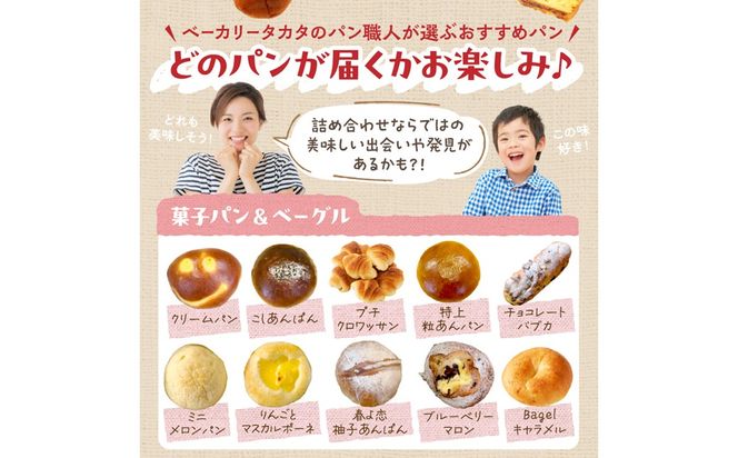 【訳あり】おまかせ　お楽しみ京都丹後のパン14～15個詰め合わせセット定期便（12ヶ月） 訳アリ 食べ比べ 小分け パンストック ふるさと納税 パン 詰め合わせ 冷凍パン パンセット　BT00031