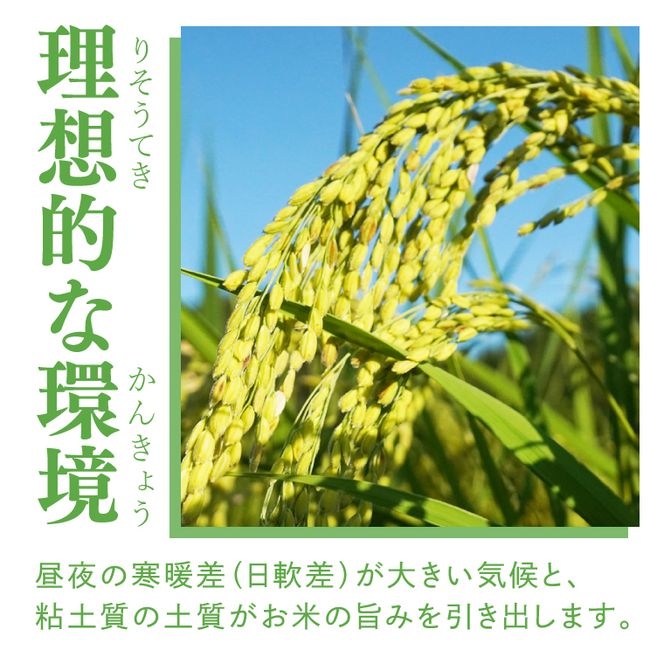 【3ヶ月定期便】【無農薬米日本一コンテスト2年連続金賞】立神米 無農薬 こしひかり（白米）定期便 5kg 3回お届け【谷田部農産】｜茨城県 大子町 コシヒカリ 米 無農薬 コンテスト 受賞 生産者 大子産米 産地直送 令和7年産（BT083）