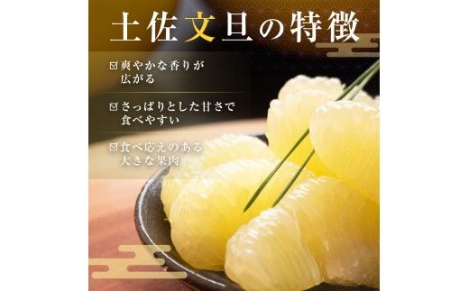 先行予約 訳あり 土佐文旦 家庭用 約10kg 約16～30玉 M～5L混合サイズ 高知県産 文旦 ブンタン ぶんたん 柑橘 かんきつ 蜜柑 みかん 柑橘類 フルーツ 果物 くだもの デザート おやつ 爽やか 甘い ジュース スイーツ 美味しい おいしい
