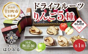 【熨斗】ドライフルーツ りんご 5種(シナノゴールド シナノスイート 紅玉 あいかの香り サンふじ)／乾燥りんご 林檎 リンゴ 無添加 砂糖不使用 国産 ギフト お取り寄せ はぴふる 新潟県 十日町市 
