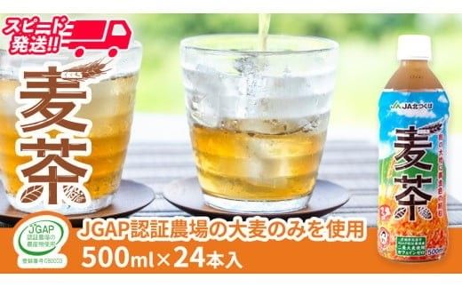 スピード発送!!【 JA 北つくば 】 JGAP認証 麦茶 1箱 ( 500ml × 24本 ) JGAP JA お茶 茶 ペットボトル 麦 大麦 二条大麦 ノンカフェイン カフェインゼロ スピード配送 [AE020ci]
