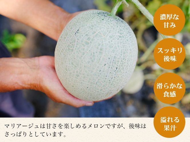 【期間限定】【数量限定】磐梯町産 赤肉メロン 『マリアージュ』 1 玉 5L サイズ　※8月10日以降順次発送