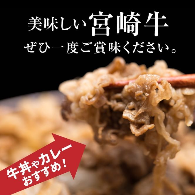 ＜宮崎牛　和牛　切り落とし1kg＞ K01_0011_1