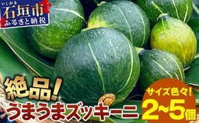 希少！「絶品うまうまズッキーニ」サイズ色々 2～5個 農薬を使わず、特許製法のシリカ水で栽培する特別な野菜 11月～3月順次発送【 沖縄県石垣市 希少 丸ズッキーニ だるまズッキーニ 野菜 採れたて 離島のいいもの 沖縄いいもの石垣島 】OI-12