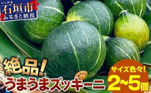 希少！「絶品うまうまズッキーニ」サイズ色々 2～5個 農薬を使わず、特許製法のシリカ水で栽培する特別な野菜 11月～3月順次発送【 沖縄県石垣市 希少 丸ズッキーニ だるまズッキーニ 野菜 採れたて 離島のいいもの 沖縄いいもの石垣島 】OI-12