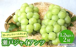 【2026年先行予約】 ぶどう 岡山県産 瀬戸ジャイアンツ 1.2kg以上(2房)《2026年9月上旬-下旬頃出荷》 葡萄 ブドウ 岡山県産 フルーツ 果物 数量限定 期間限定 岡山 里庄町 獲れたて 新鮮 甘い 種無し 