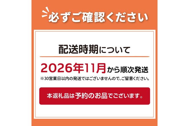 【予約：2026年11月から順次発送】玉葱 10kg Lサイズ以上 ( 玉ねぎ たまねぎ タマネギ 野菜 10キロ ふるさと納税 玉ねぎ生産量日本一 北見市産 )【148-0014-2026】