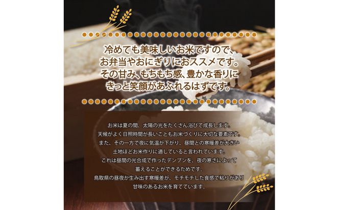 令和7年 原田農園きぬむすめ無洗米5kg 313726_CG005