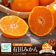 【2026年先行予約】【秀品】和歌山県産　有田みかん 約3kg （S～Ｌサイズ混合）【まごころ手選別】_ZE6483