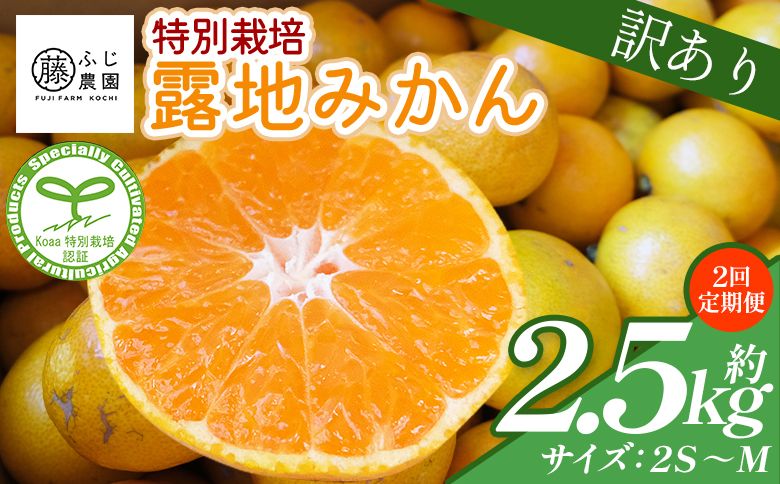 [2回定期便] みかん ふじ農園の露地みかん 訳あり品 2.5kg(2S〜M) 国産 小玉 蜜柑 ミカン 柑橘 果物 フルーツ 訳アリ ご家庭用 自宅用 ふじ農園 高知県 香南市 Wfn-0019
