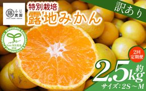 【2回定期便】 みかん ふじ農園の露地みかん 訳あり品 2.5kg(2S～M) 国産 小玉 蜜柑 ミカン 柑橘 果物 フルーツ 訳アリ ご家庭用 自宅用 ふじ農園 高知県 香南市 Wfn-0019