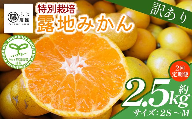 【2回定期便】 みかん ふじ農園の露地みかん 訳あり品 2.5kg(2S～M) 国産 小玉 蜜柑 ミカン 柑橘 果物 フルーツ 訳アリ ご家庭用 自宅用 ふじ農園 高知県 香南市 Wfn-0019