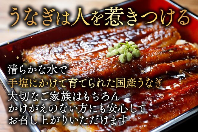 （6月発送）国産　大　特上うなぎ 2尾 合計 320g 以上【OT000O160】