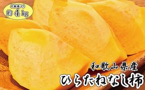 【2026年発送分予約】和歌山秋の味覚　平核無柿（ひらたねなしがき）　約4kg　化粧箱入　※2026年10月上旬頃〜11月上旬頃に順次発送（お届け日指定不可）【uot701A】