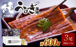 【先行予約】 うなぎ蒲焼3尾セット（200g×3尾）合計600g　たれ・山椒付き  鰻 うなぎ ウナギ 国産 冷凍 うな重 蒲焼 丑の日 鰻楽 熊本県 八代市 【2026年10月中旬より順次発送】