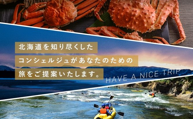 【北海道ツアー】ニセコ 倶知安町 後から選べる旅行Webカタログで使える！ 旅行クーポン（90,000円分） 旅行券 宿泊券 飲食券 体験サービス券 温泉 お食事券 チケット スキーチケット 