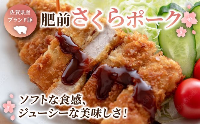 肥前さくらポークとんかつ用 120g×6枚 B-422