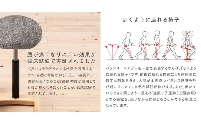 バランス シナジー(カバーなし) 椅子 腰痛 対策 イス バランスラボ