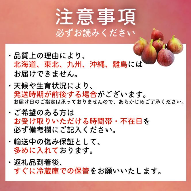 【先行予約】【2026年8月中旬～出荷】訳ありいちじく 約350g×4パック 計約1.4kg 冷蔵 果物 【配送不可地域：北海道 東北 九州 沖縄 離島】