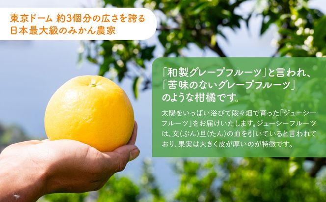 【先行予約】【訳あり】ジューシーフルーツ5kg（2027年5月中旬より順次発送） IKTF039