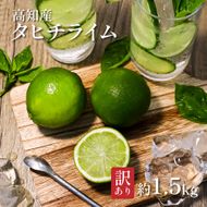 【CF-R7hbk】TSF002-1　訳ありタヒチライム 約1.5kg ライム 国産 種なし 柑橘類 かんきつ類 防腐剤不使用 ノーワックス 新鮮 冷蔵 家庭用 果物 くだもの フルーツ 芸西村 高知県産