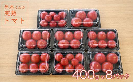 岸本くんの完熟トマト 約3.2kg ( 400g×８パック )  野菜 産地 直送 人気 国産 愛媛県 愛南町 発送期間：2026年2月1日～6月20日	