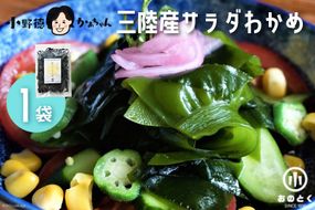 【2つの食感】 三陸産 サラダわかめ 170g ×1袋 [小野徳 宮城県 気仙沼市 20565559] 海藻 ワカメ わかめ 若布 塩蔵わかめ 塩蔵 コリコリ シャキシャキ 冷蔵