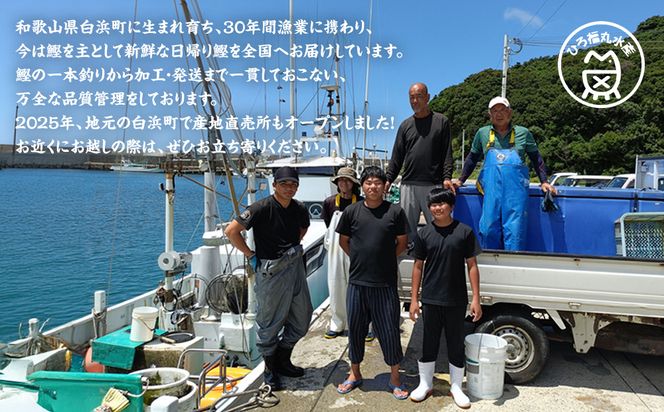 かつお一本釣り漁師が直送！ 日帰りかつおの藁焼きたたき 訳あり 2.2kg入 304018_DT05