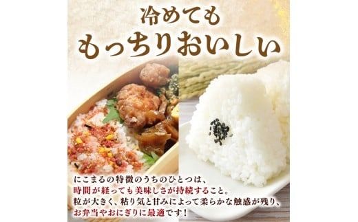 令和7年産 米 にこまる 5kg 10kg 15kg 30kg 60kg 定期便 3ヶ月 6ヶ月 数量限定 お米 白米 精米 新米 ごはん ご飯 高知県産 弁当 おにぎり 料理 令和7年度 R7年 先行予約 超早場米 粒ぞろい ふっくら 粘り 食味 四国 安芸平野 日照時間 清流 風 栄養 健康 美味しい 炊飯 食事 朝食 夕食 家庭用 贈答用 ギフト 安芸市 高知県
