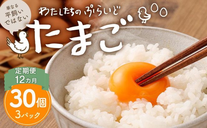 【定期便：12か月】【食べチョクアワード2025 畜産部門 1位の日本一のたまご】単なる平飼いではない究極の卵『わたしたちのぷらいどたまご』3パック（30個）セット 141305_GX04