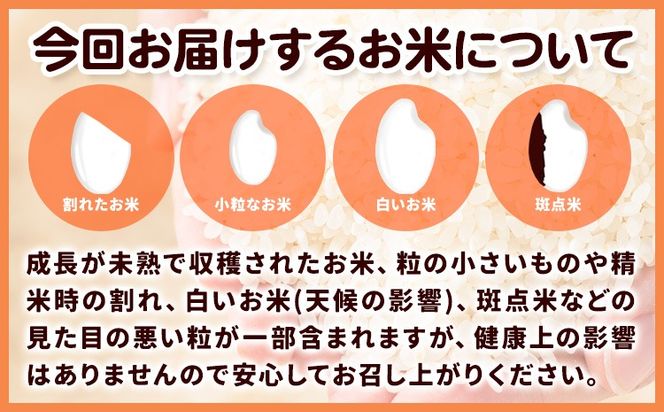 米 お米 白米 こめ 令和6年産 和歌山県 日高町産 にじのきらめき 5kg 10kg 《60日以内に出荷予定(土日祝除く)》 和歌山県 日高町 コメ お米 ご飯 ごはん---wfn_wlocal1_60d_24_12000_5kg---