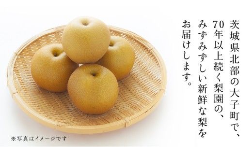茨城県産 梨 豊水 サイズ おまかせ （ 3L～4L ） 5kg （ 12～14玉 ） 【2026年9月上旬発送開始】 (茨城県共通返礼品：大子町) 梨 なし ナシ 果物 くだもの 季節 フルーツ デザート 旬果