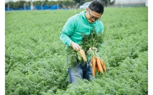 【訳あり】甘くて食べやすい“碧南にんじん” 5kg にんじん 人参 ニンジン 野菜 やさい 国産 碧南市 健康 食品ロス削減 甘い 先行予約 旬 特産 高評価 高リピート 人気 H105-139