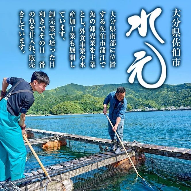 ＜訳あり＞地魚海鮮漬け丼の素 (計8食) アジ サバ マグロ カツオ タイ イカ ブリ カワハギ メジナ イサキ カンパチ ヒラメ 鮮魚 漬け丼 詰め合わせ 食べ比べ 冷凍 国産 大分県 佐伯市【GO013】【(株)水元】