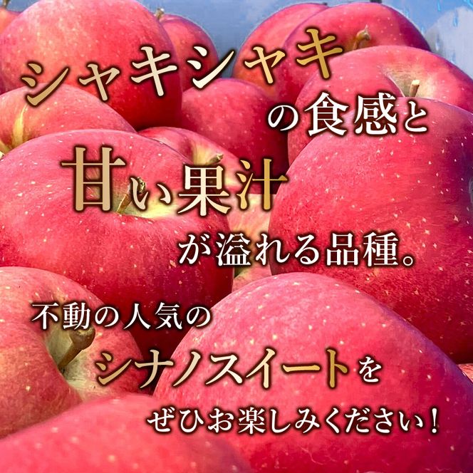 りんご【11月～2月発送】糖度13度以上 シナノスイート おもてなし用 家庭用 約3kg【青森りんご】