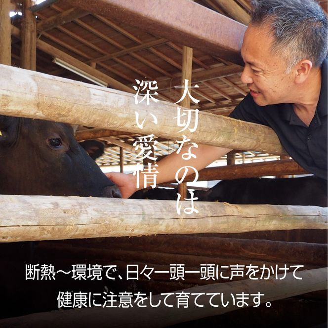 牛肉 京都もり牛 こま切れ 800g 小分け 京都府産 国産 国産牛 和牛 黒毛和牛 小間切れ 焼き肉 焼肉 BBQ バーベキュー カレー 牛丼 鍋 お肉 牛 肉 ブランド ギフト 冷凍 京都 