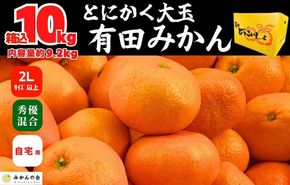  みかん 大玉 どっこいしょ 箱込 10kg ( 内容量約 9.2kg ) 2Lサイズ以上 秀品 優品 混合 有田みかん 和歌山県産 産地直送 家庭用【みかんの会】AX220