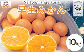【先行予約】Saito Orange Farmの早生（わせ）みかん10kg （2026年11月下旬頃より順次発送予定） IKTAQ021