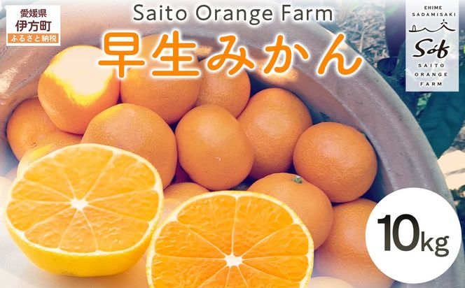 yQɕzys\zSaito Orange Farm̑i킹j݂10kg i2025N11{菇j IKTAQ021