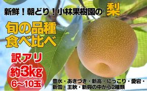 【訳アリ！先行予約】小林果樹園の梨 6～10玉 約3kg