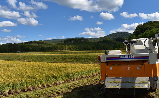 【2025年産米】12ヵ月 定期便  銀山米研究会の無洗米 ＜ゆめぴりか＞5kg　ご飯 ライス 白米 ブランド米 おにぎり お弁当 北海道産 産地直送 ご飯 時短 朝ごはん 夜ごはん 昼ごはん [株式会社 松原米穀]