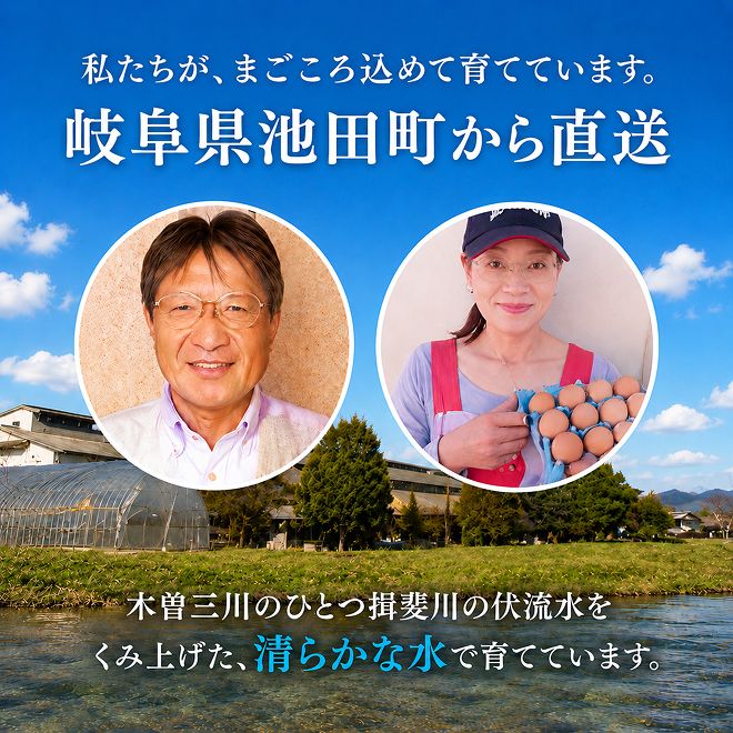 卵 わずか4%の希少な純国産鶏 いけだの森たまご 30個 こだわり おこめのたまご 玉子 鶏卵 生卵 産地直送 冷蔵配送 TKG 卵かけご飯 岐阜県産 