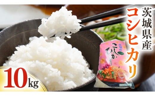 茨城県産 コシヒカリ 10kg ( 10kg × 1袋 ) 令和7年産 米 お米 コメ 白米 こしひかり 茨城県 新生活 応援 [EG002ci]