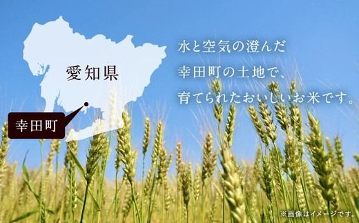 【6カ月定期便】幸せな田んぼのある町のお米｢幸田町｣産 あいちのかおり 白米 5kg ◇ ｜ お米 米 白米 精米 ご飯 ごはん 定期便