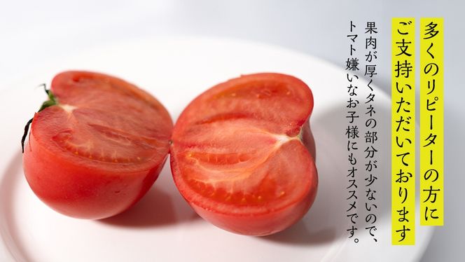 てるて姫 大箱 約2.6kg × 1箱 【20〜35玉/1箱】 野菜ソムリエサミット 金賞 糖度9度 以上 野菜 フルーツトマト フルーツ トマト とまと [AF109ci]