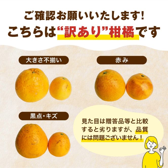 【訳あり】愛南ゴールド（河内晩柑）8kg | 柑橘 訳あり 詰め合わせ 家庭用 みかん かわちばんかん 果物 ジューシー ジュースみたいな果汁 鬼北町 愛南町 箱 送料無料 デザート ※北海道・沖縄・離島への配送不可 ※2026年4月上旬頃より順次発送予定